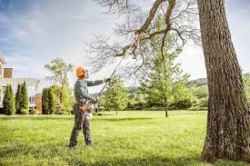 Lawn Pest Prevention in Winfield, AL